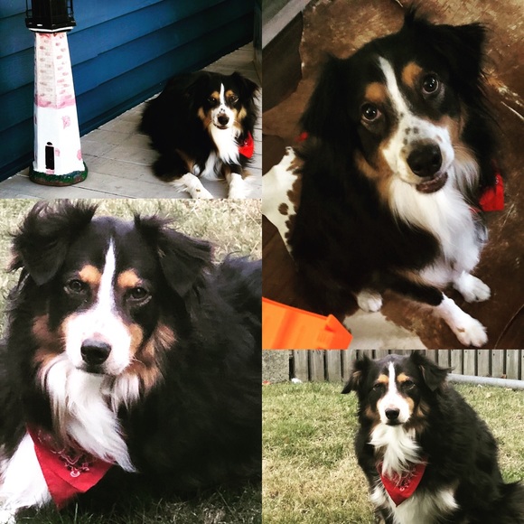 Meet your Posher, Lori - Picture 2 of 14